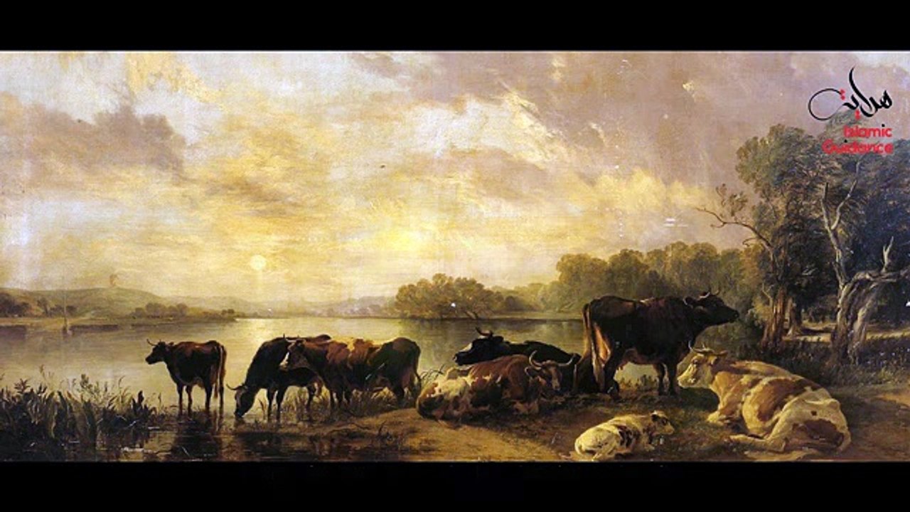 Cain And Abel [Qabil And Habil]