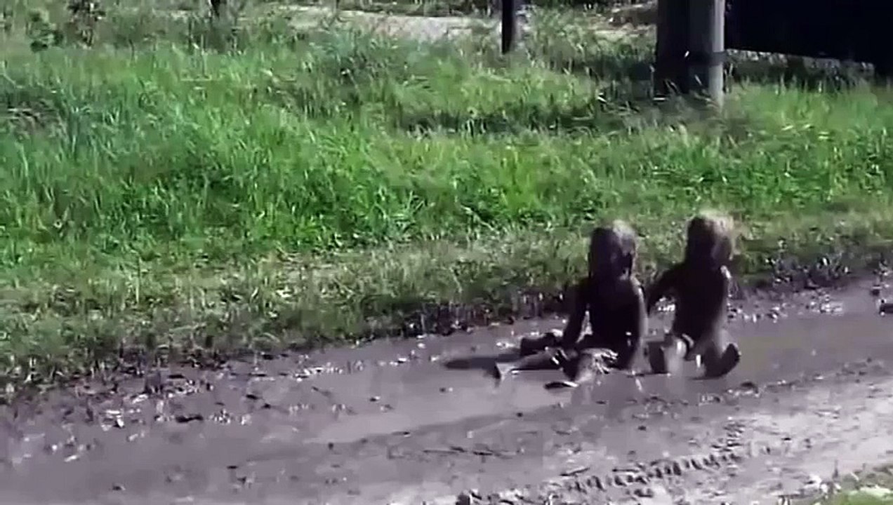 Пришельцы среди нас! Ржака  Смотреть всем!