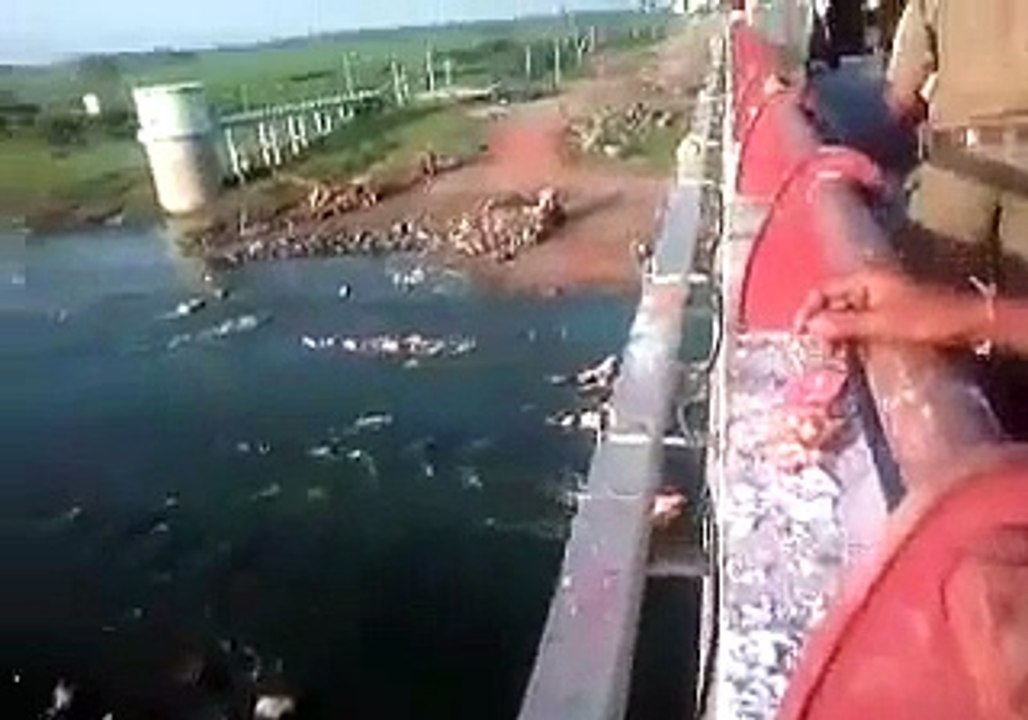 Indian Bhagwan Indian Idols (LOL)