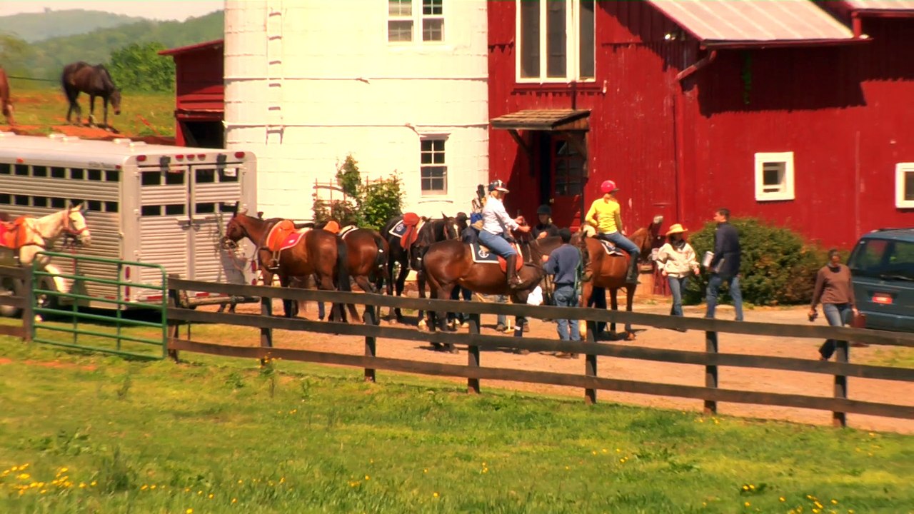 Not Just for the Royals, Polo 101