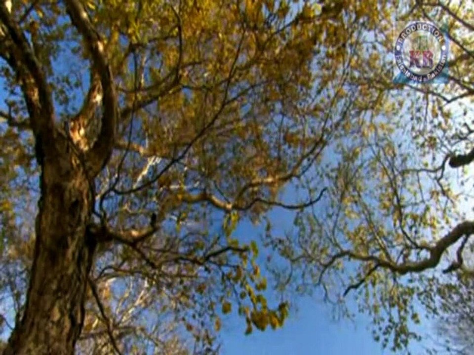 Chaman Chaman Gali Gali