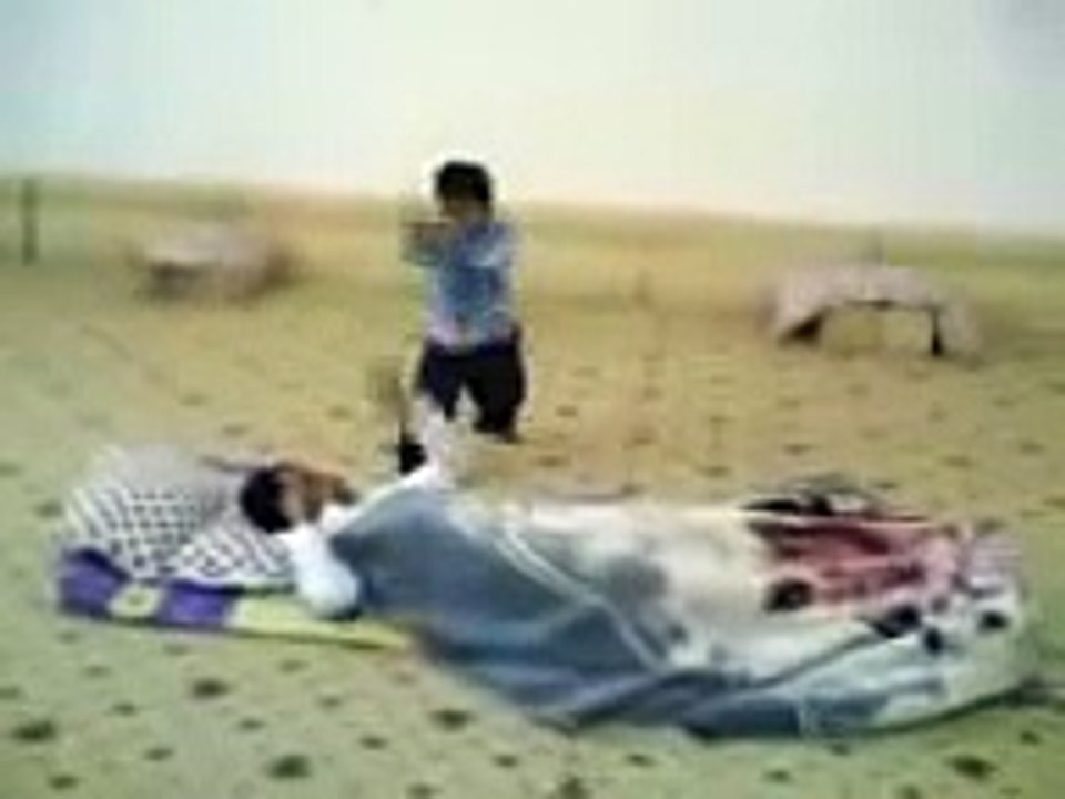 Whatsapp-funny-video-185-whatsapp-whatsapp-Whatsapp-funny-video-185-whatsapp-whatsapp