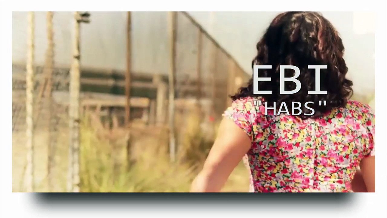 Ebi | Habs