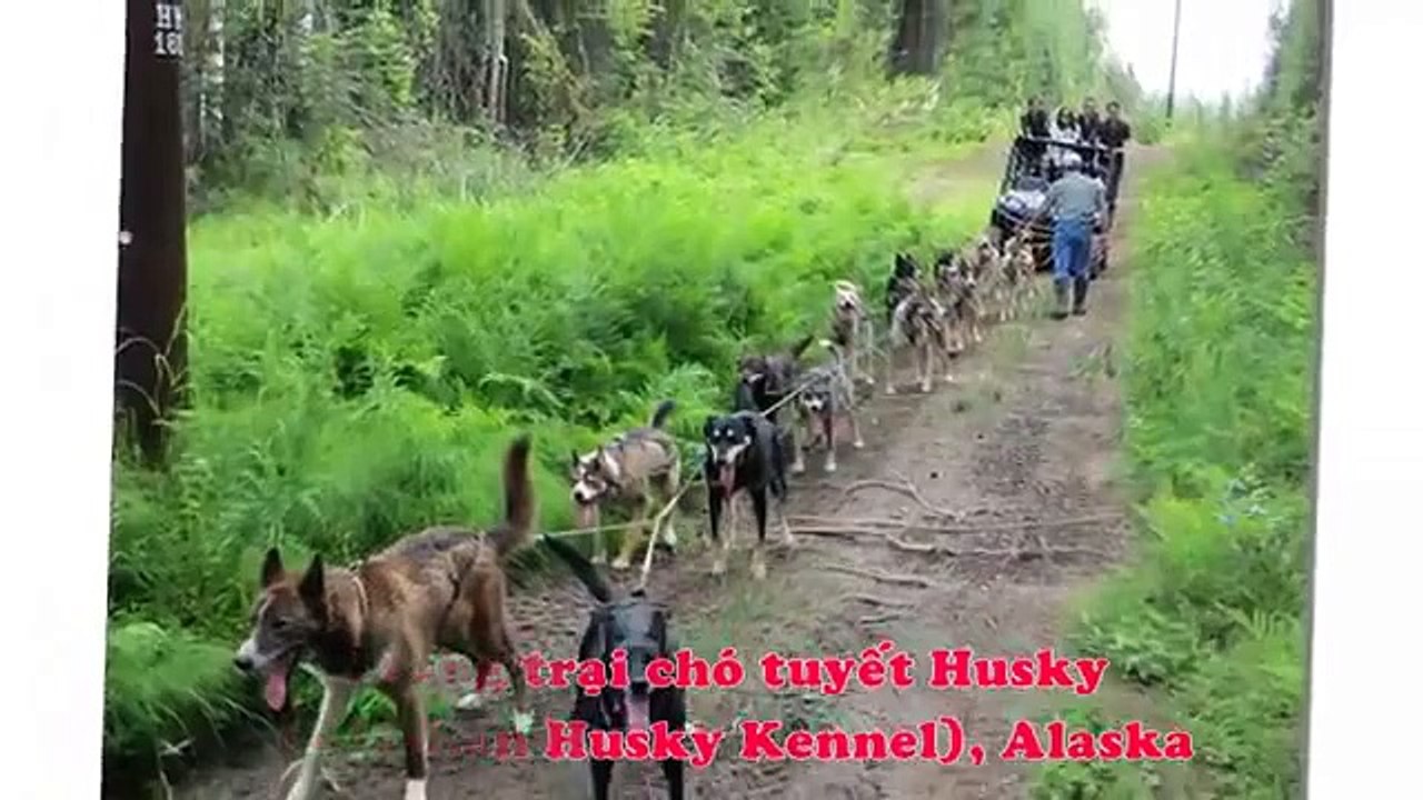 Du lịch Mỹ - Canada_ Alaska - Rocky Mountains_ Bản hòa âm của sông băng và núi tuyết
