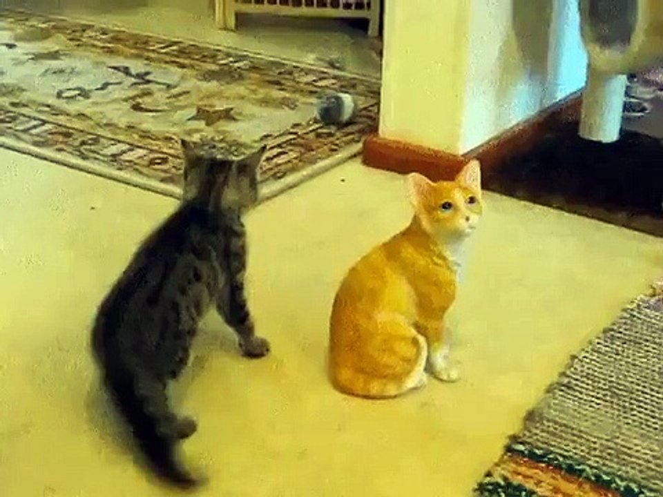 Подстава кота))