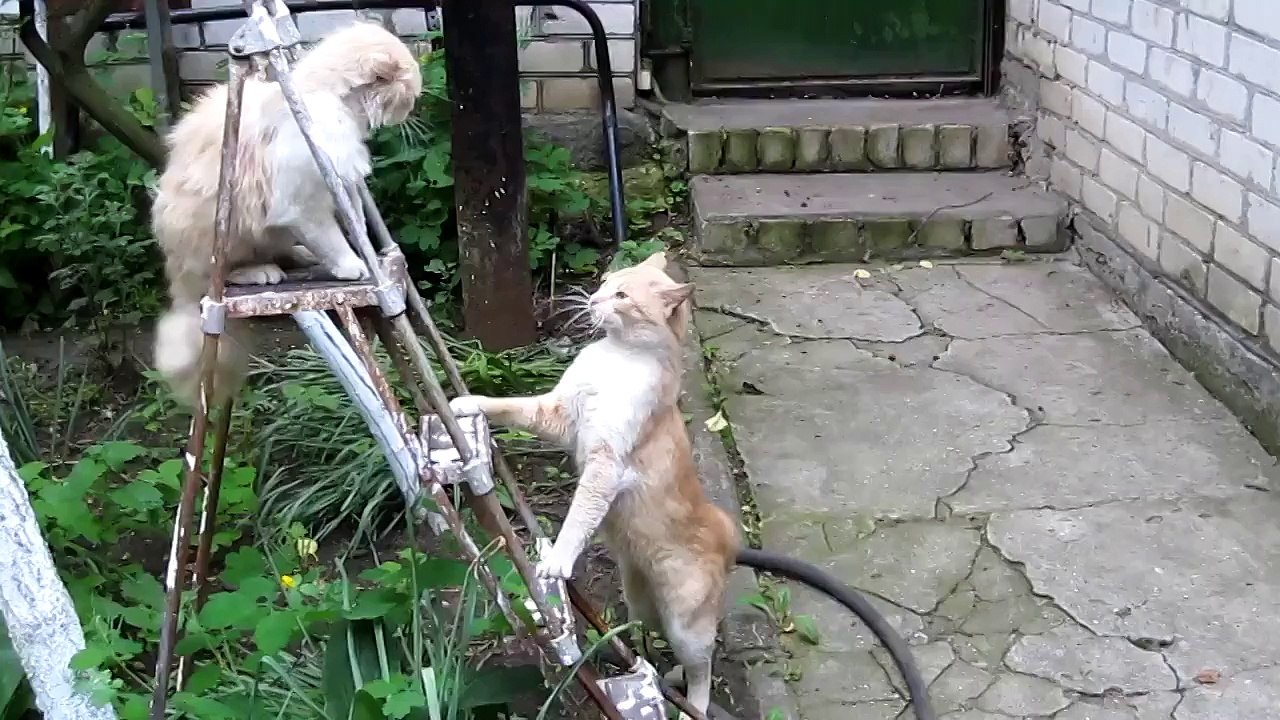 Удар, еще удар.)))