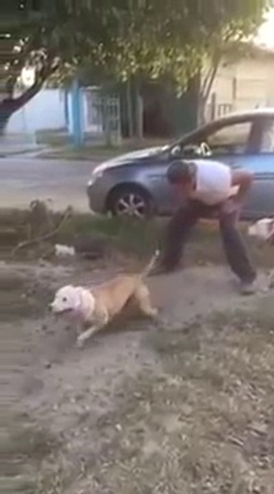 Whatsapp funny video 142 @whatsapp #whatsapp