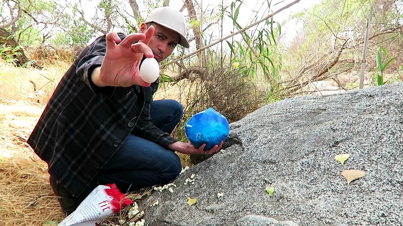 1st place Egg Drop project ideas- using SCIENCE