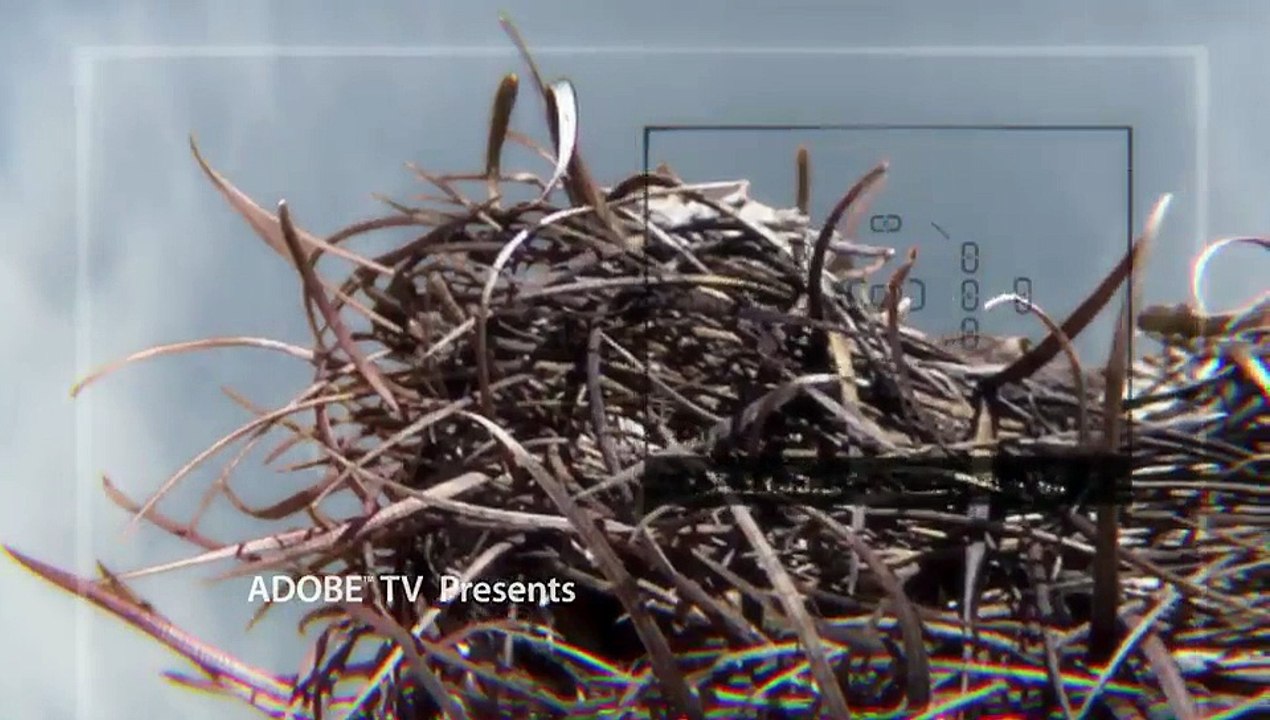 Focus based image selections _ Learn Photoshop CC _ Adobe TV