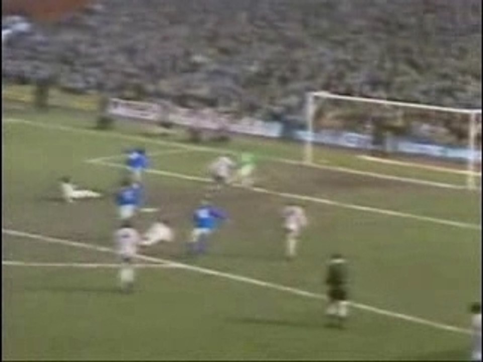 Top Picks for the Best 🌟