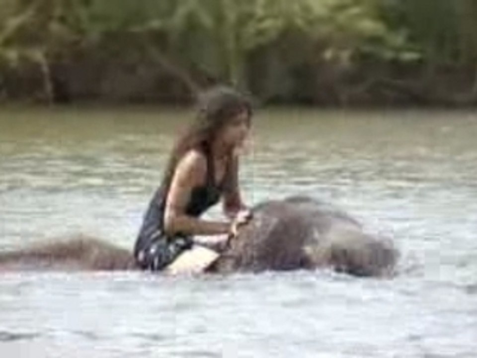 Naissance d'un éléphant, naissance...