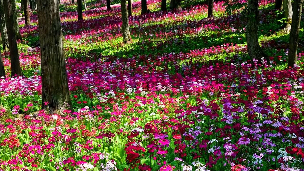 Short Documentary: Challenges of Sex Education