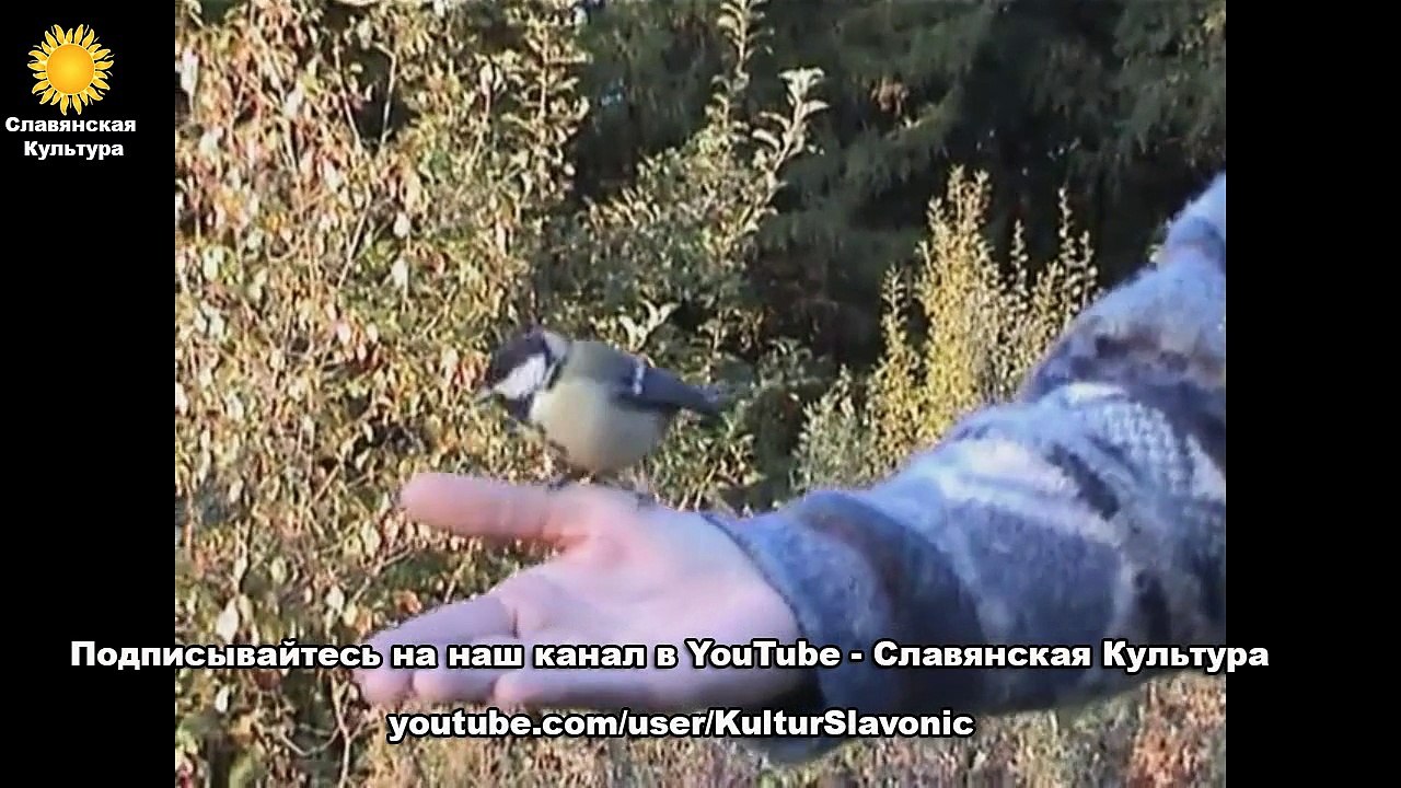 Светлаяна (Рита Воронцова)-Солнце встает