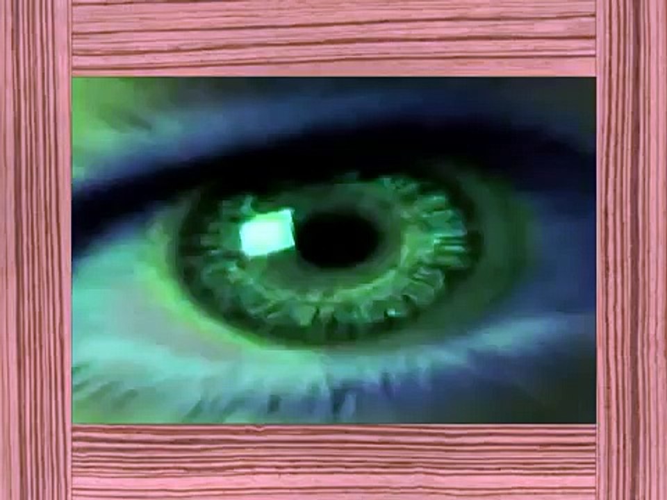 Animal attack compilation 15  Only Gruesome