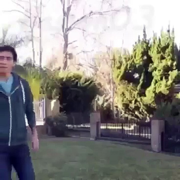 Software Magic man future vine developer