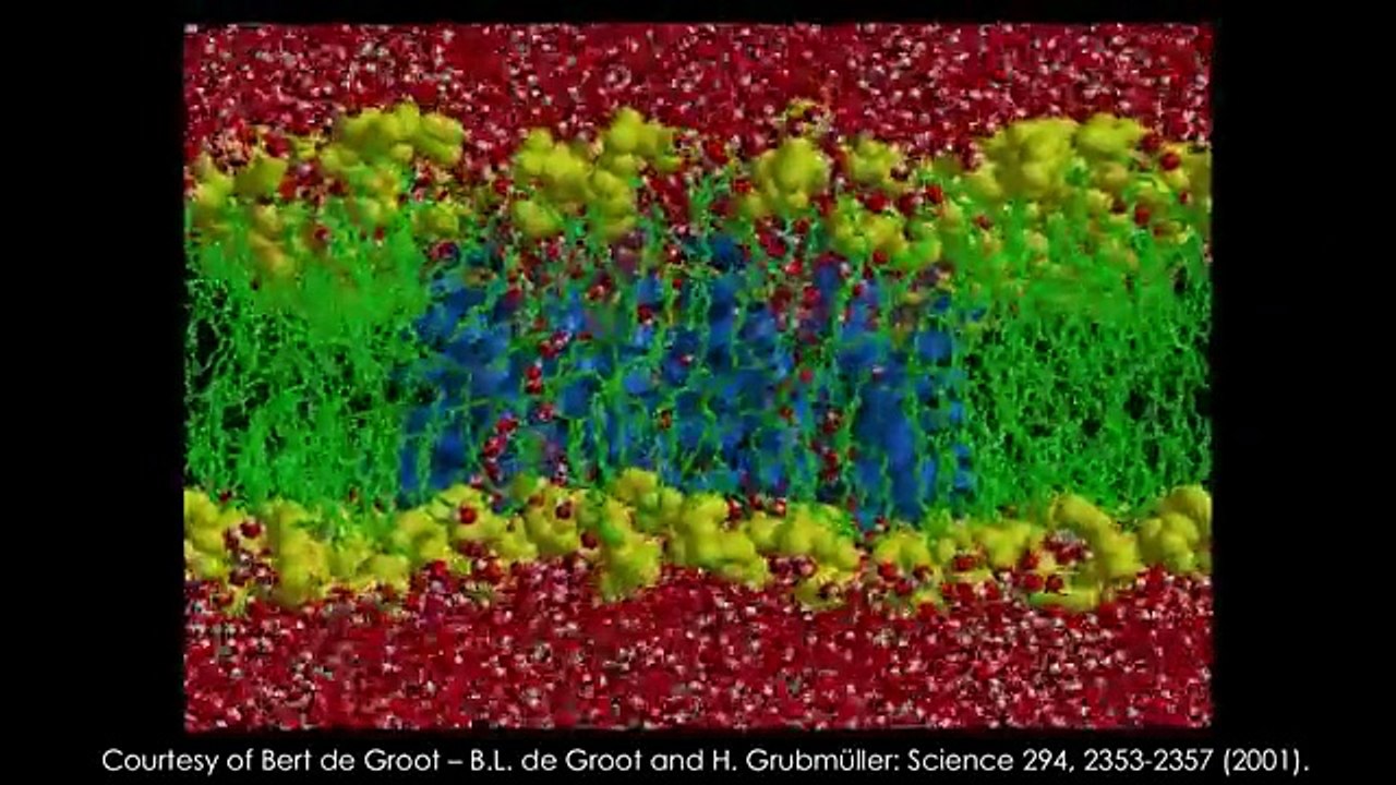 How Quantum Biology Might Explain Life’s Biggest Questions | Jim Al-Khalili | TED Talks