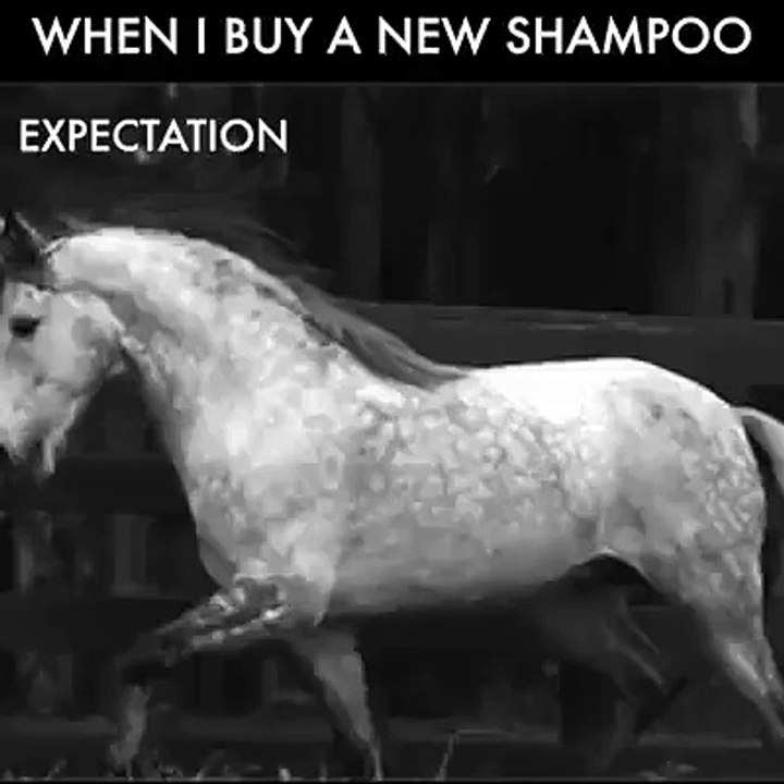 Expectation vs Reality