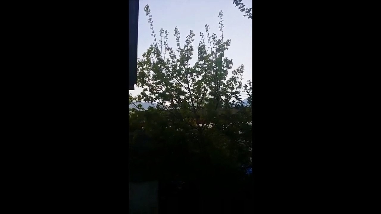 Suono o ....Lamento .... - (Canada)