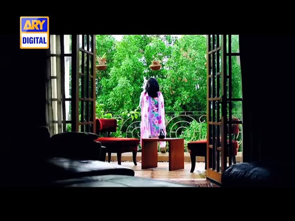 Guzaarish - ARY Digital