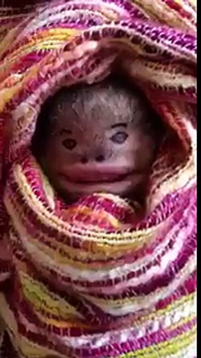 Funtime 4U: Exciting Gaming Experience 🎮