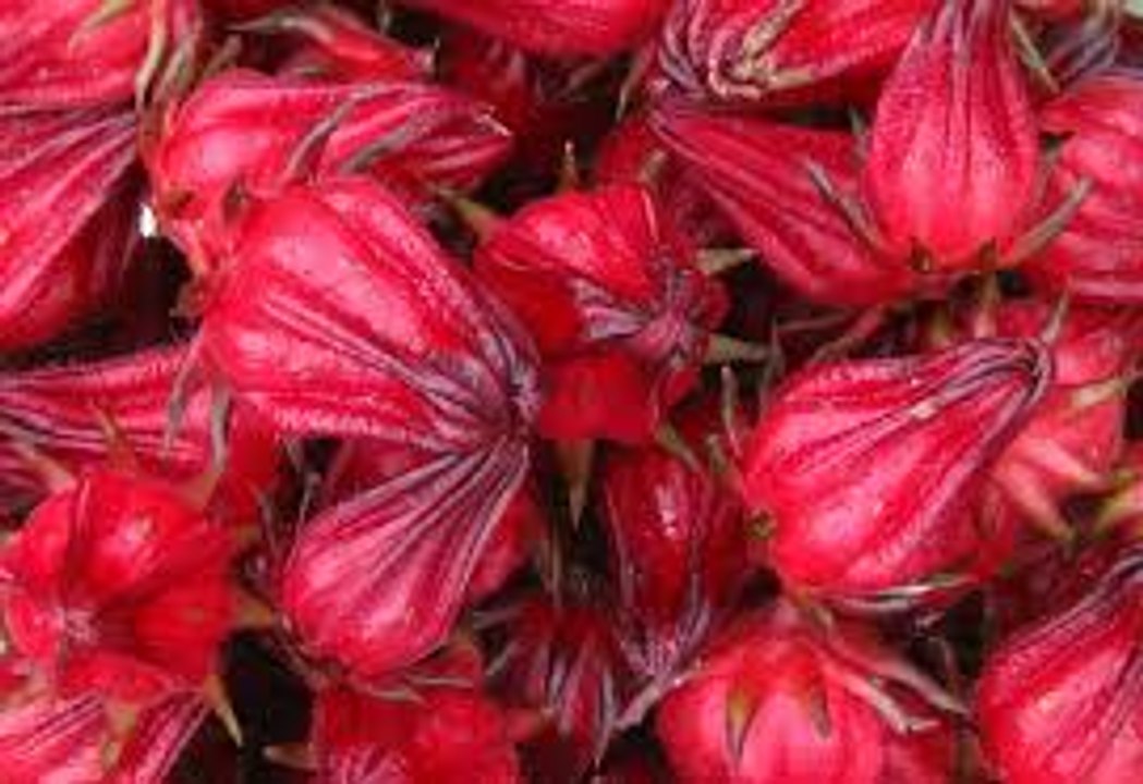 What are the Benefits of Roselle Flowers