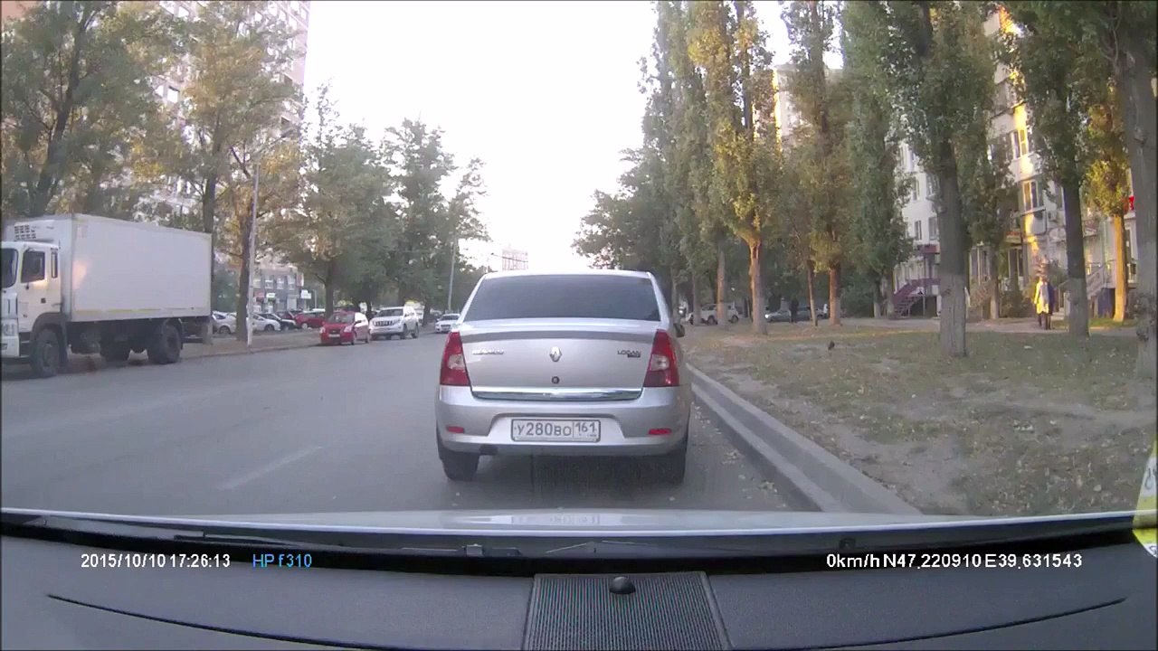 Голубь стал причиной тройного дорожно-транспортного происшествия