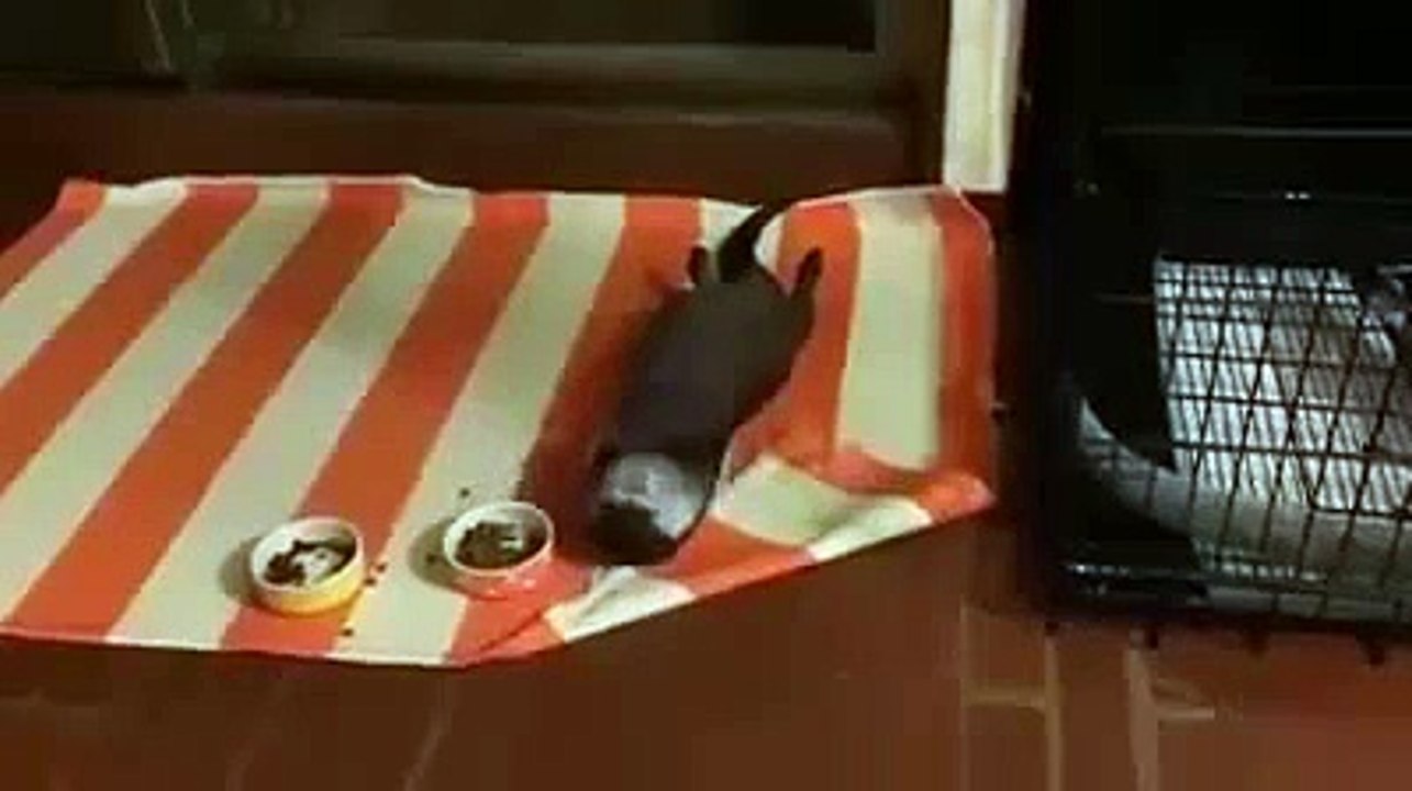 вот я так же провожу выходные)))