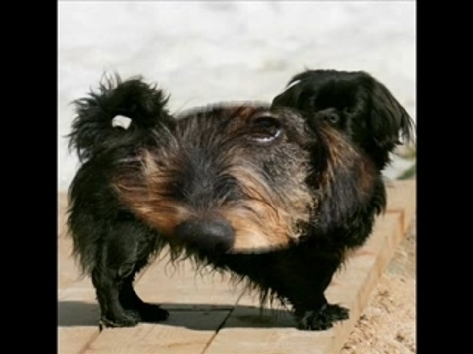 RUSSIA VOLGA ON THE ROAD_0001