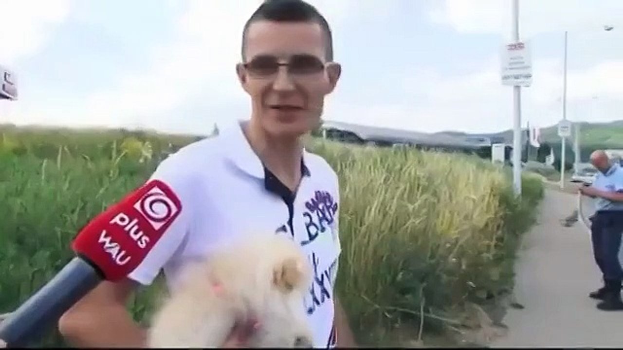 Моя вера в человечество восстановлена! Это невозможно мило