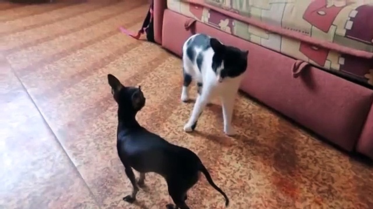 Ржали пол часа )))