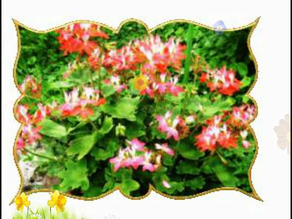 Michael Bolton New Album 2015