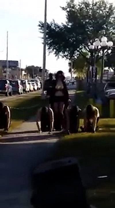 Une Femme Étrange Promène des Hommes en Laisse