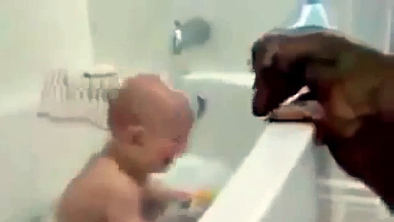 funny videos baby, Funny 2015, Prank 2015, Funny Prank 2015, Video 2015