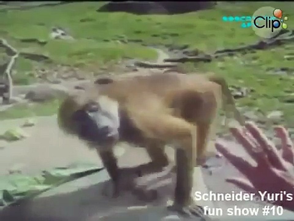 Funny Video, Funny 2015, Prank 2015, Funny Prank 2015, Video 2015