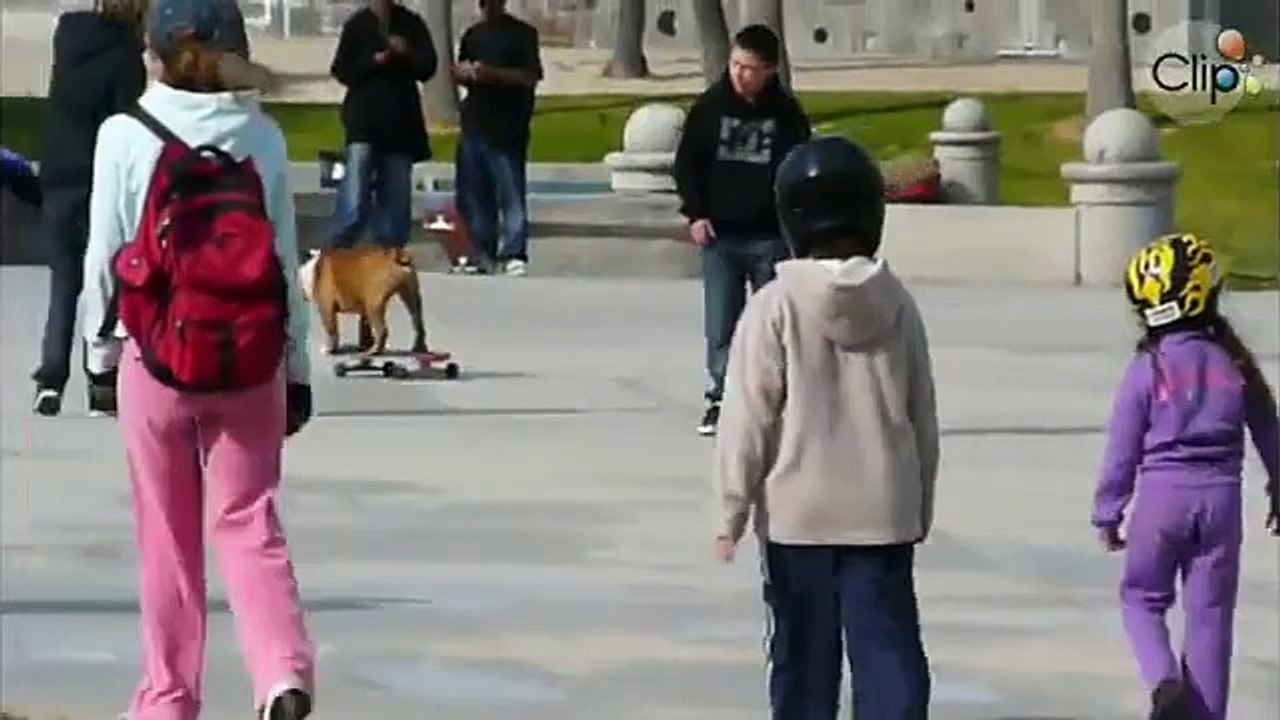 Funny dog Patin, Funny 2015, Prank 2015, Funny Prank 2015, Video 2015