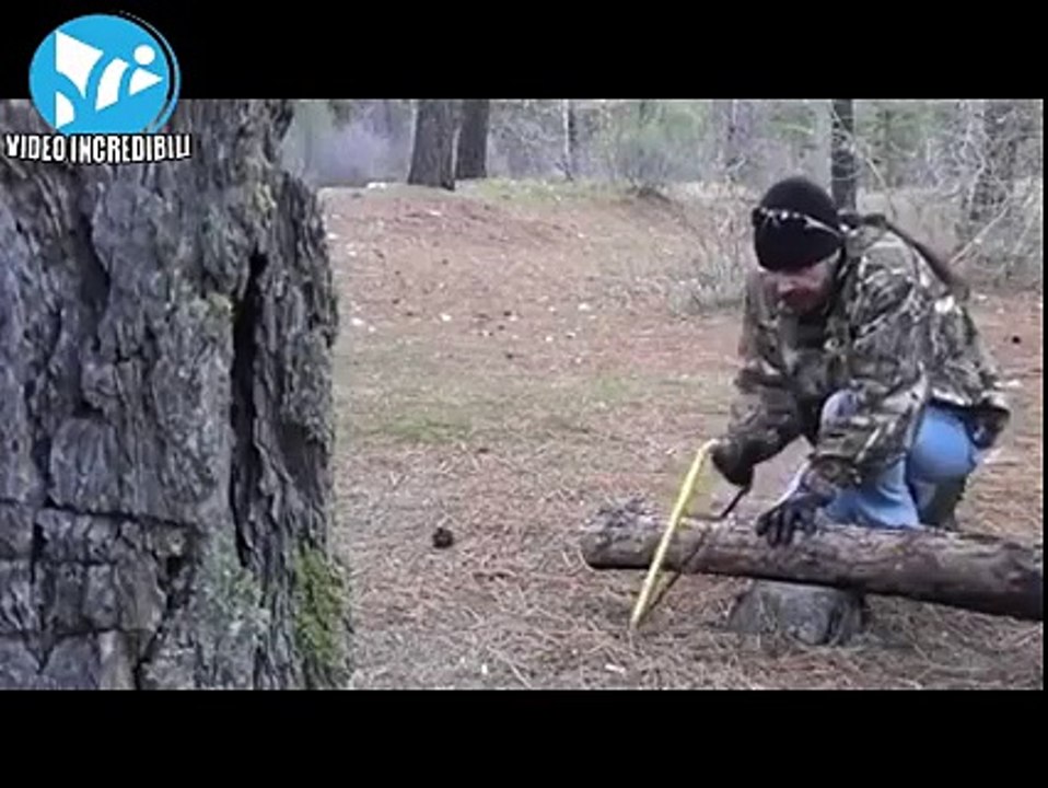 technique in forest