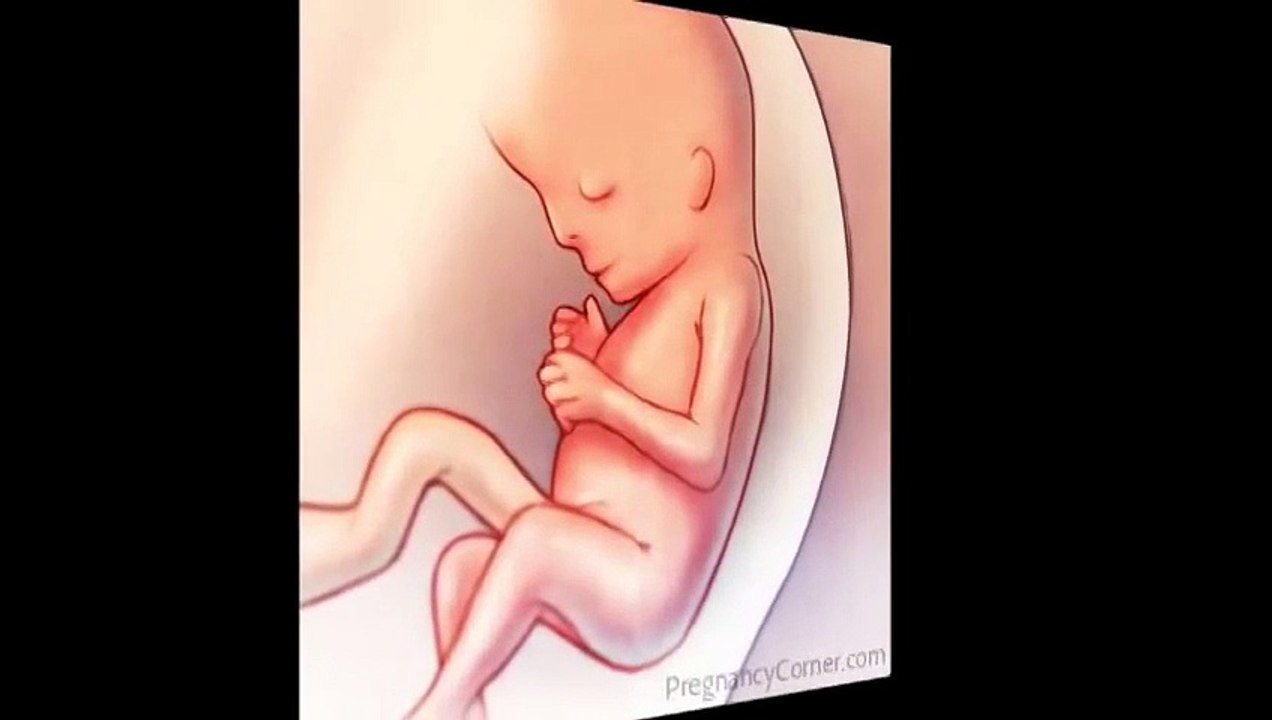 11 weeks pregnant, Body Changes at 11 Weeks at pregnant, Pregnancy Week 11 Tip