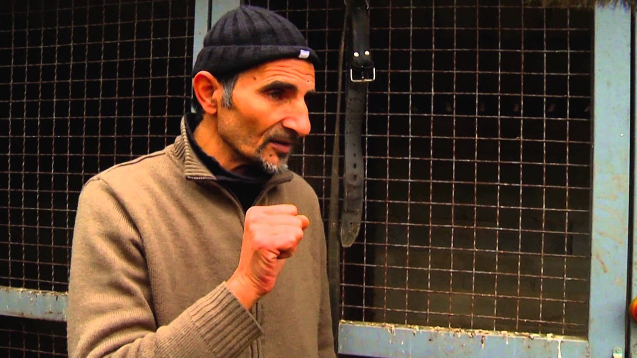 Fisi I Faunes - Episodi 12