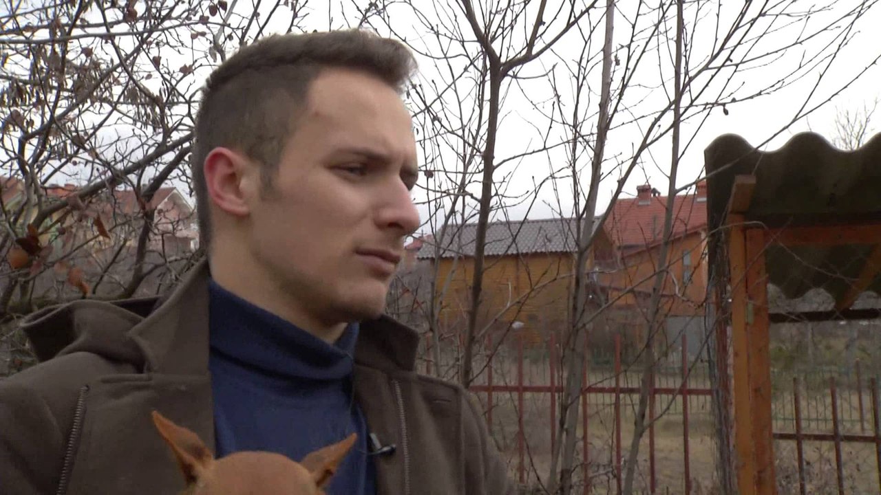 Fisi I Faunes - Episodi 11