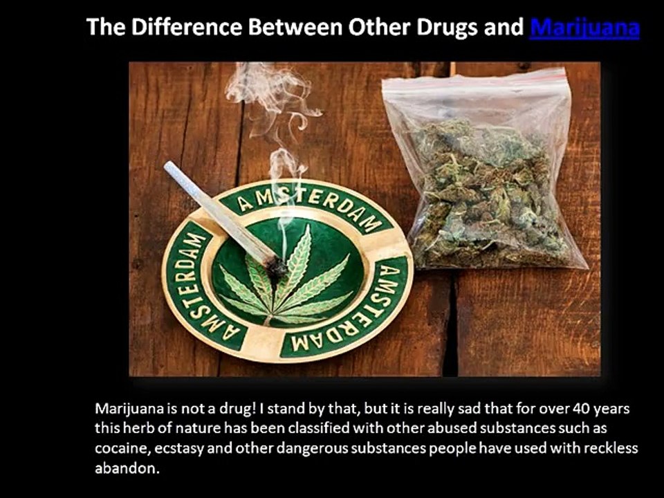 The Difference Between Other Drugs and Marijuana