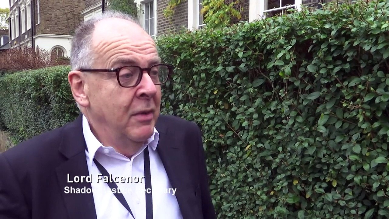 Falconer on military action in Syria