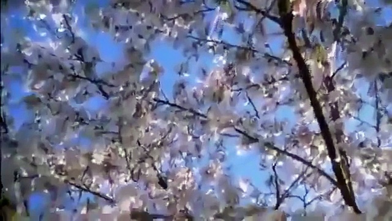 Japan : History of Japans Ancient and Modern Empire (Full Documentary)