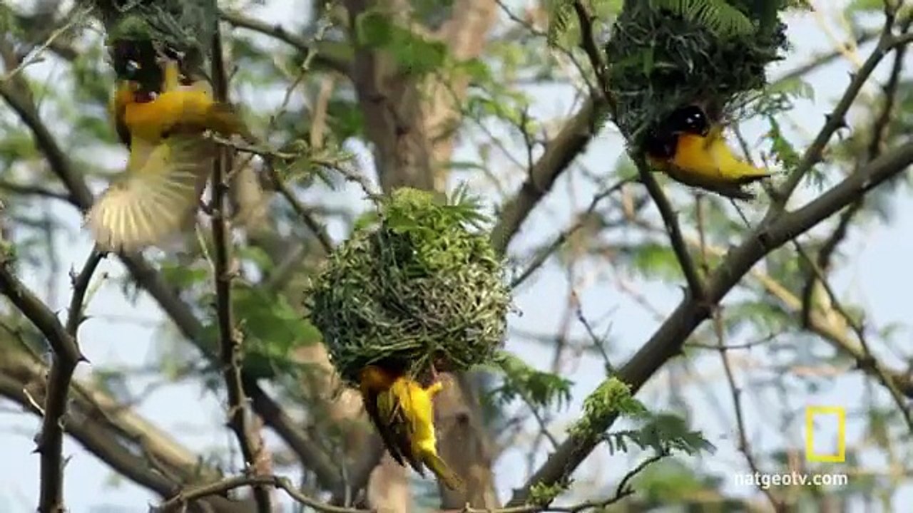 Solving the Water Problem | Breakthrough