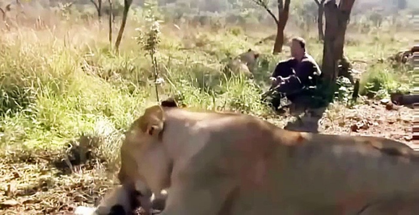 Discovery Animals - Discovery WildLife - Animals Hunting