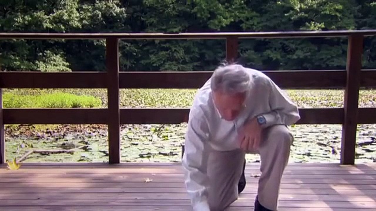 BBC Universe Documentary The Great Math Mystery BBC Documentary 2015