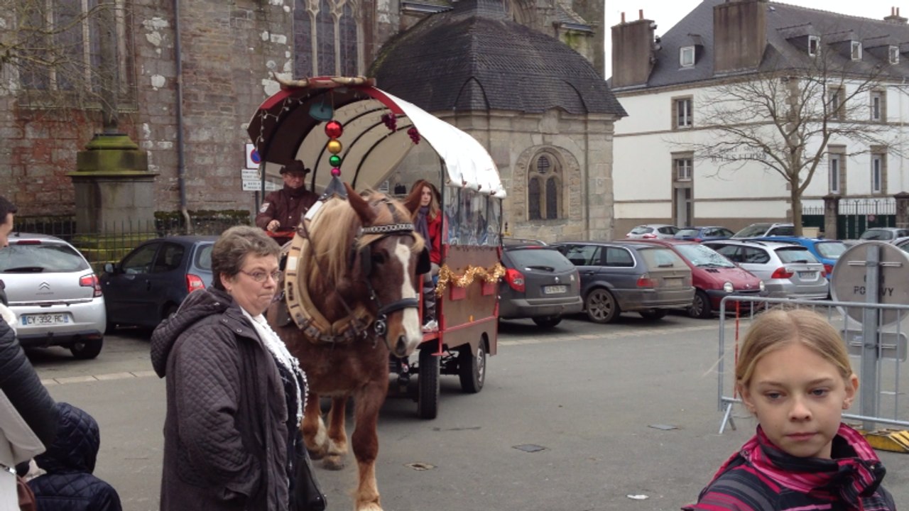 Balade à poney et en voiture attelée place Anne de Bretagne