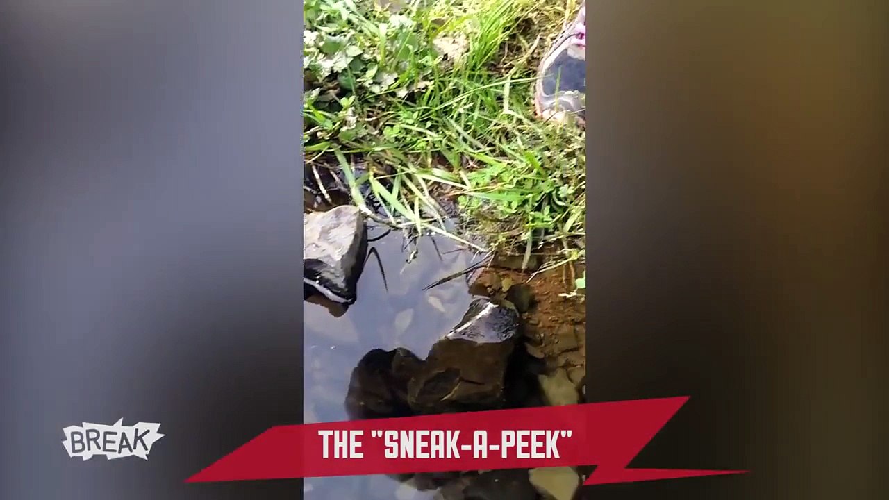 Girls, Girls, Girls! - Breaking Videos