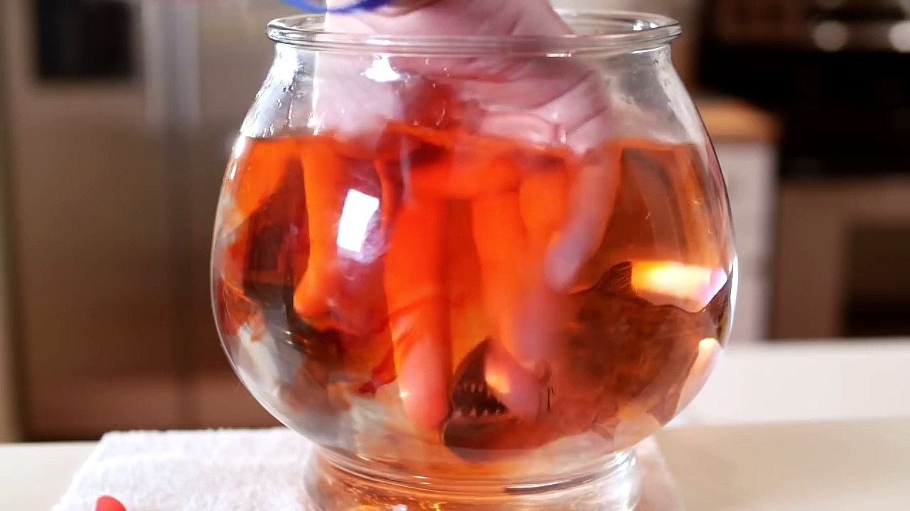 PIRANHA ATTACKS ....