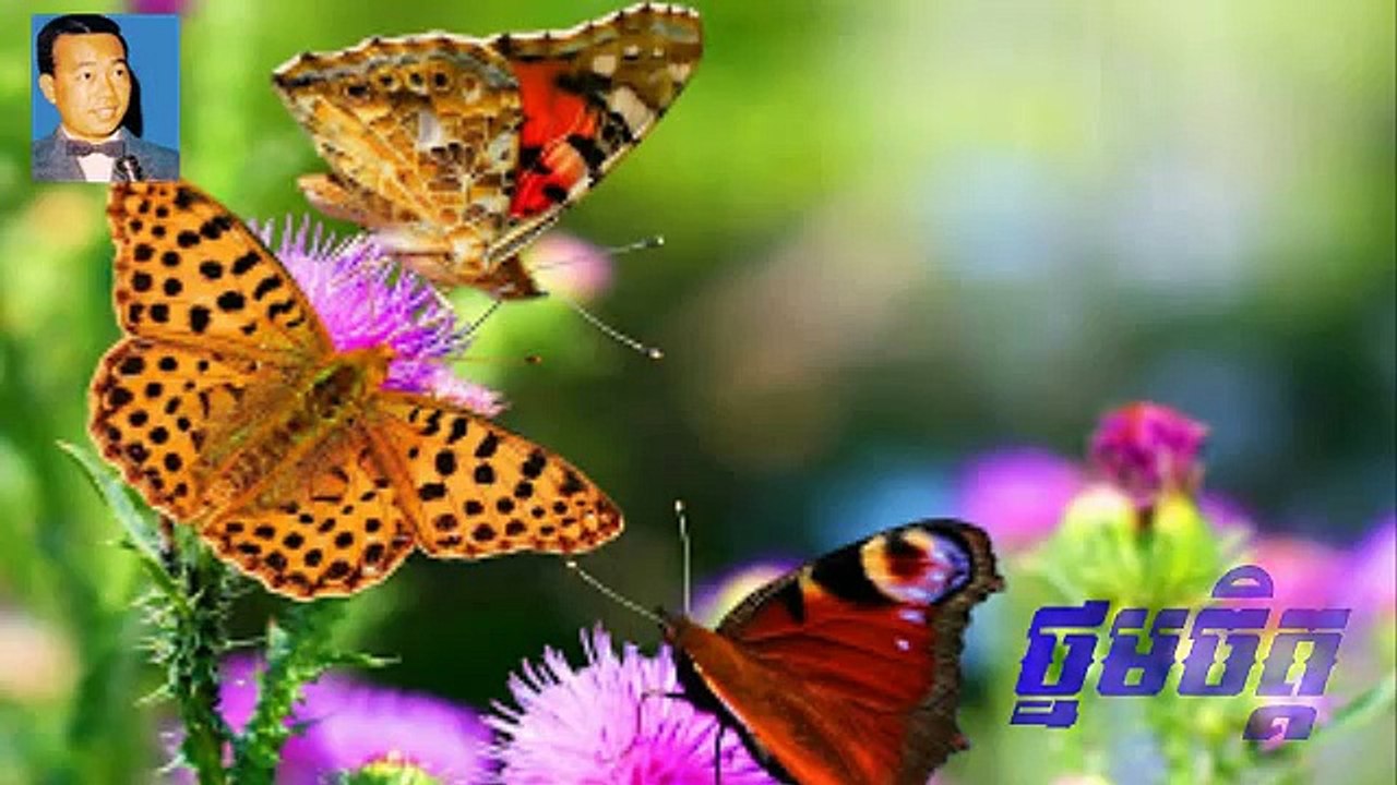 sin sisamuth | khmer song old song | khmer song | Thnom Chit