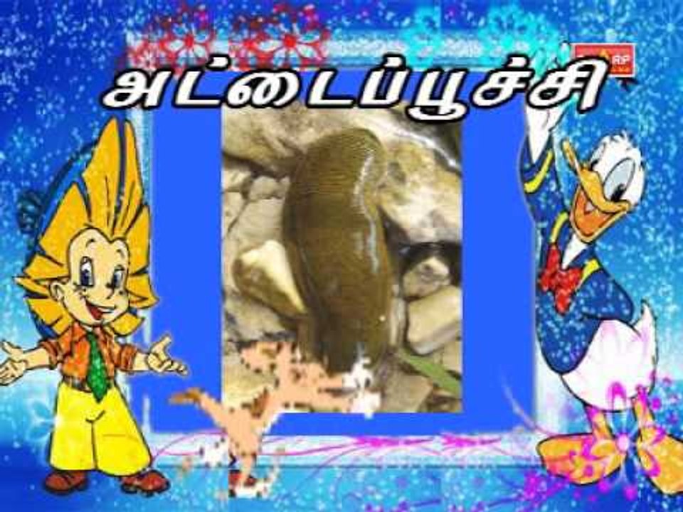 Insects in Tamil
